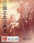 《三國之北漢燕王》