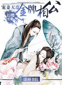 《寵妻無度——金牌相公》