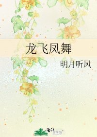 《龍飛鳳舞》