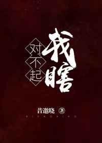《對不起,我瞎》