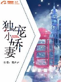 《獨寵小嬌妻:重生八零發大財》