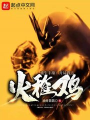 （精靈寶可夢同人）重生豐緣：開局我選火稚雞