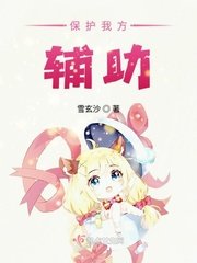 《保護我方輔助》