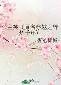 公主笑（原名穿越之醉夢千年）