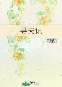 《尋夫記》