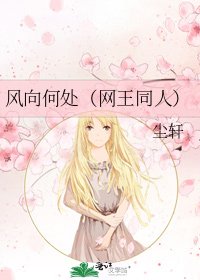 《風向何處(網王同人)》