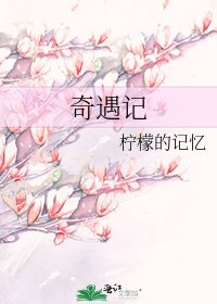 《奇遇記》