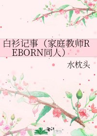 《白衫記事(家庭教師REBORN同人)》