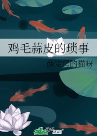 《雞毛蒜皮的瑣事》