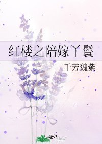 《紅樓之陪嫁丫鬟》