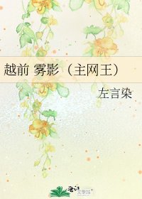 《越前 霧影(主網王)》