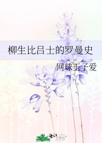 《柳生比呂士的羅曼史》