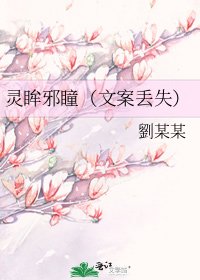 《靈眸邪瞳(文案丟失)》