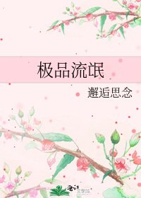《極品流氓》