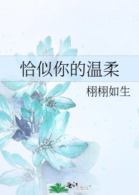 《恰似你的温柔》
