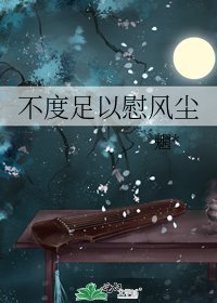 《不度足以慰風塵》