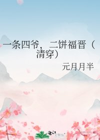 《一條四爺,二餅福晉(清穿)》