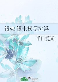 銀魂|銀土撈盡沉浮