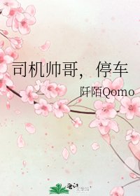 《司機帥哥,停車》