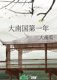 大南國第一年