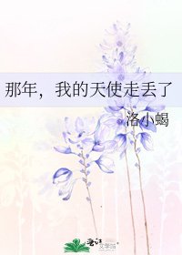 《那年,我的天使走丟了》