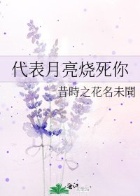 《代表月亮燒死你》
