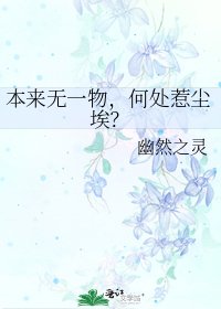 《本來無一物,何處惹塵埃?》