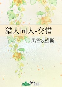 《獵人同人-交錯》