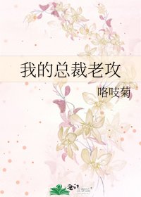《我的總裁老攻》