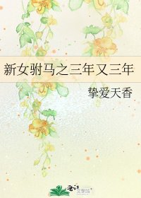 《新女駙馬之三年又三年》