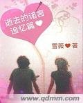 《逝去的諾言追憶篇》
