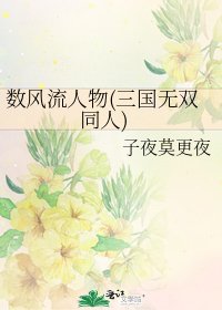《數風流人物(三國無雙同人)》
