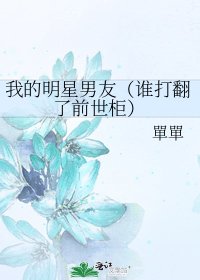 《我的明星男友(誰打翻了前世櫃)》