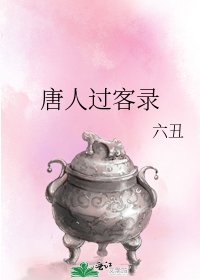 《唐人過客錄》