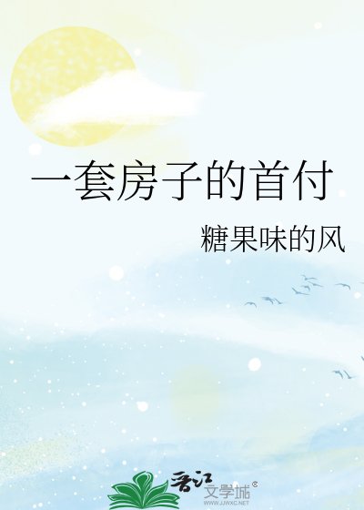 《一套房子的首付》