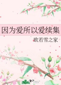 《因為愛所以愛續集》