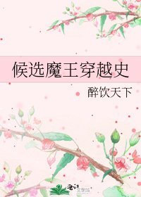 《候選魔王穿越史》