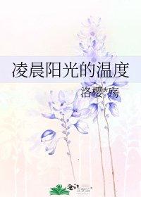 凌晨陽光的温度