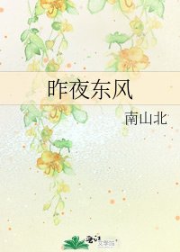 《昨夜東風》