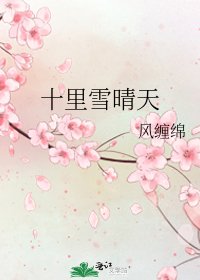 《十里雪晴天》