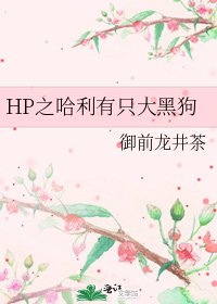 《HP之哈利有隻大黑狗》