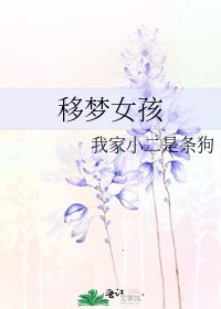 移夢女孩