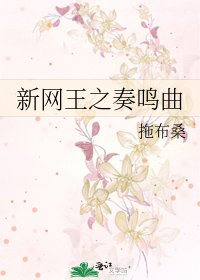 《新網王之奏鳴曲》