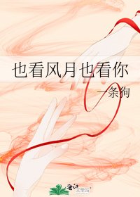《也看風月也看你》