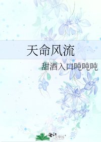 《天命風流》