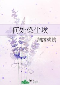 《何處染塵埃》
