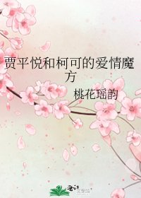 《賈平悦和柯可的愛情魔方》