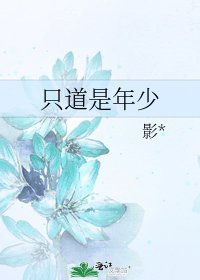 只道是年少