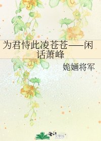 《為君恃此凌蒼蒼——閒話蕭峯》