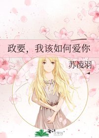 《政要,我該如何愛你》